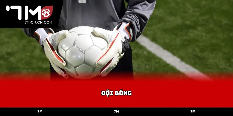 Phân tích sức mạnh và chiều sâu đội bóng