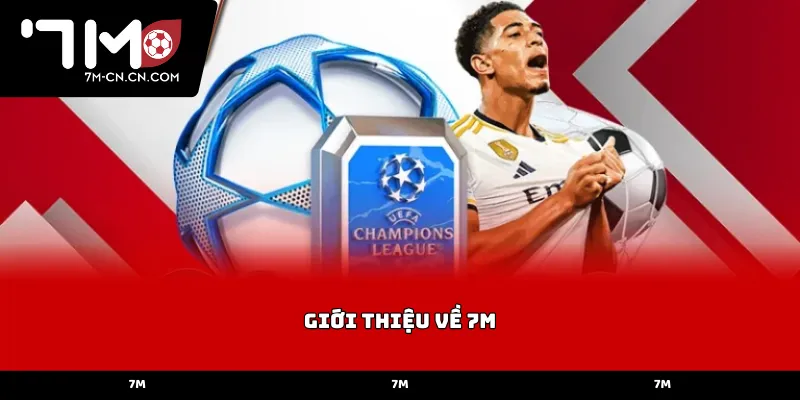 Lịch sử hình thành và sứ mệnh giới thiệu về 7M